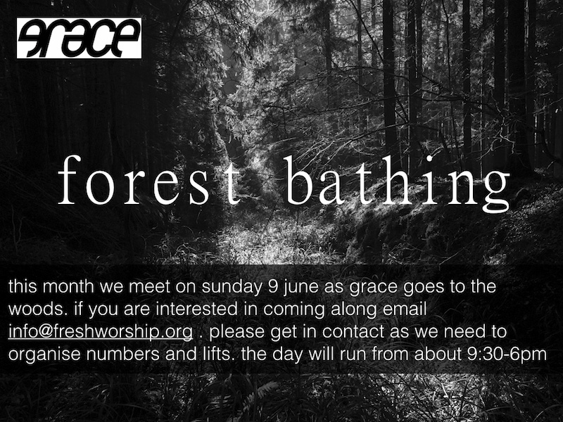 forest bathing flyer